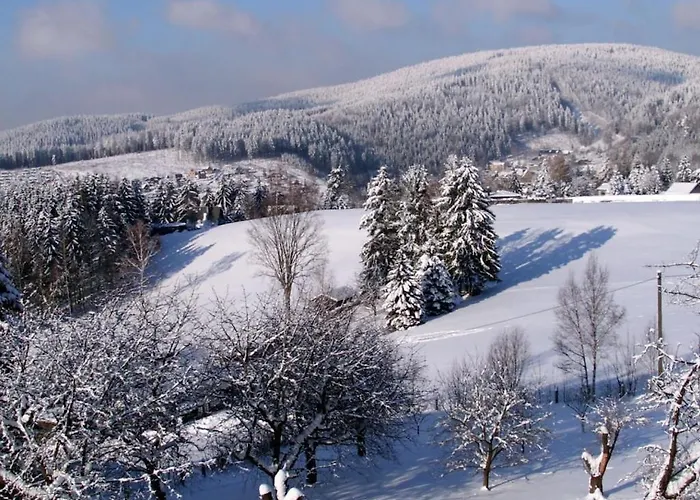 With 1 Bedroom Dom wakacyjny Klingenthal